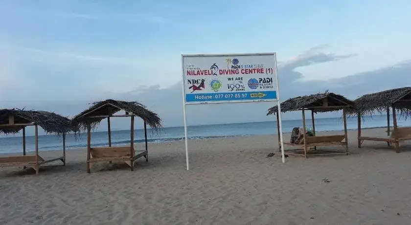 Blue Whale Nilaveli