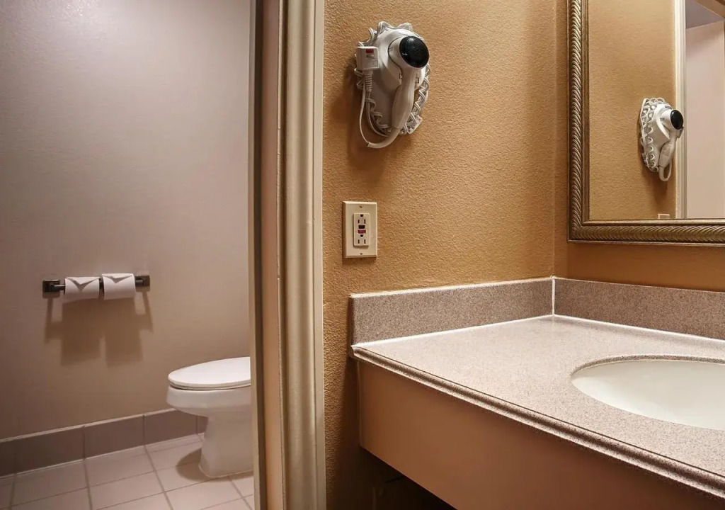 Best Western Valencia/Six Flags Inn & Suites