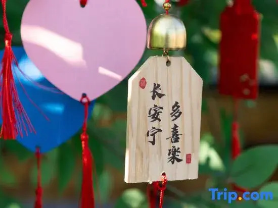 Lijiang Zai Shane Golden Mountain Sunrise View Oxygen-Enriched Boutique Hotel