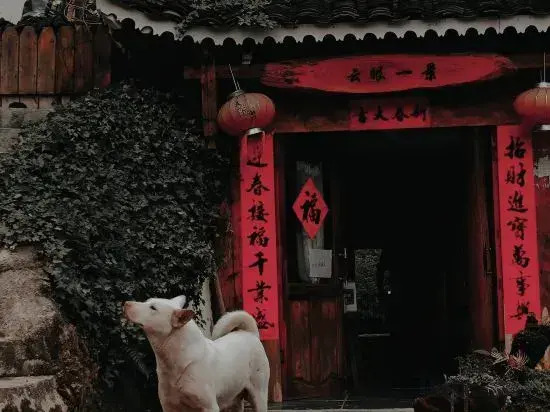 Xijiang Qianhu Miaozhai Huahudi Yuan Hostel