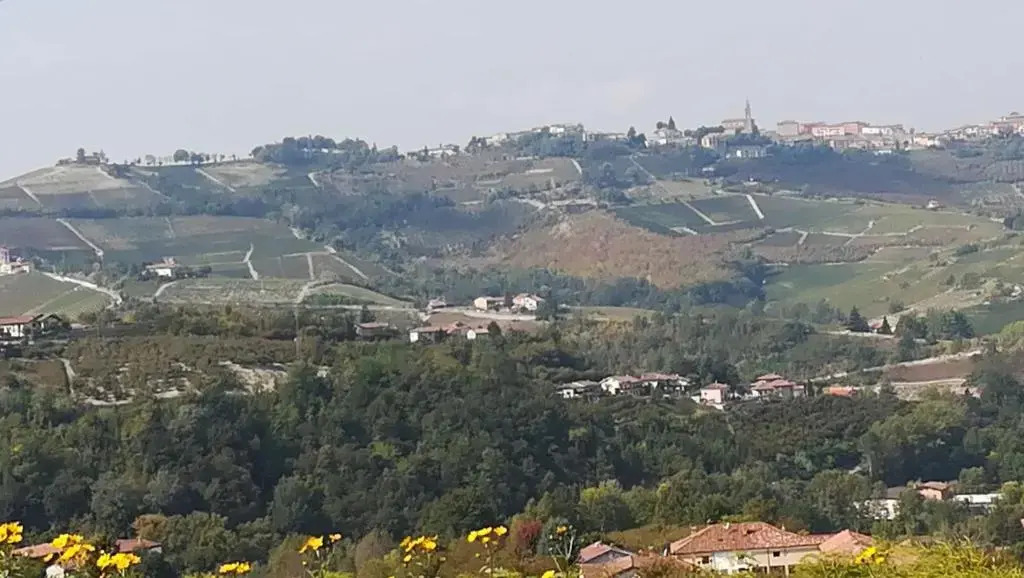 LA CASA DEI MASUE