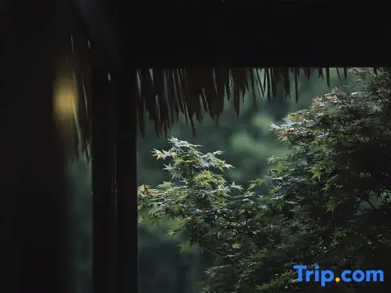 Xiang·Stay Homestay (Xingyi Wanfenglin Branch)
