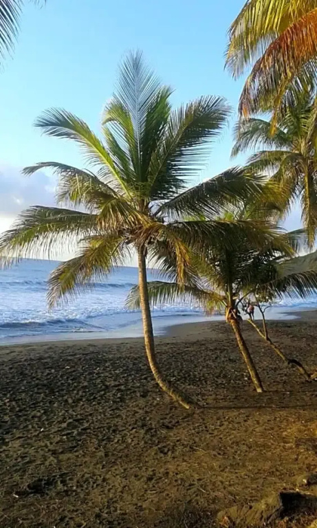 Maison de la Plage