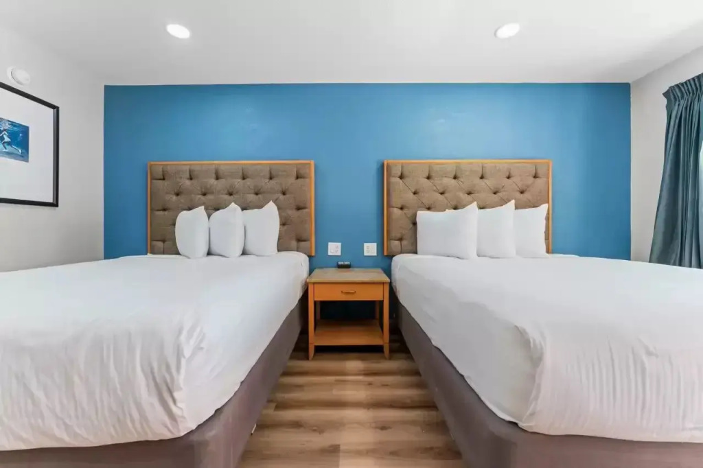 Econo Lodge Inn & Suites Sealy