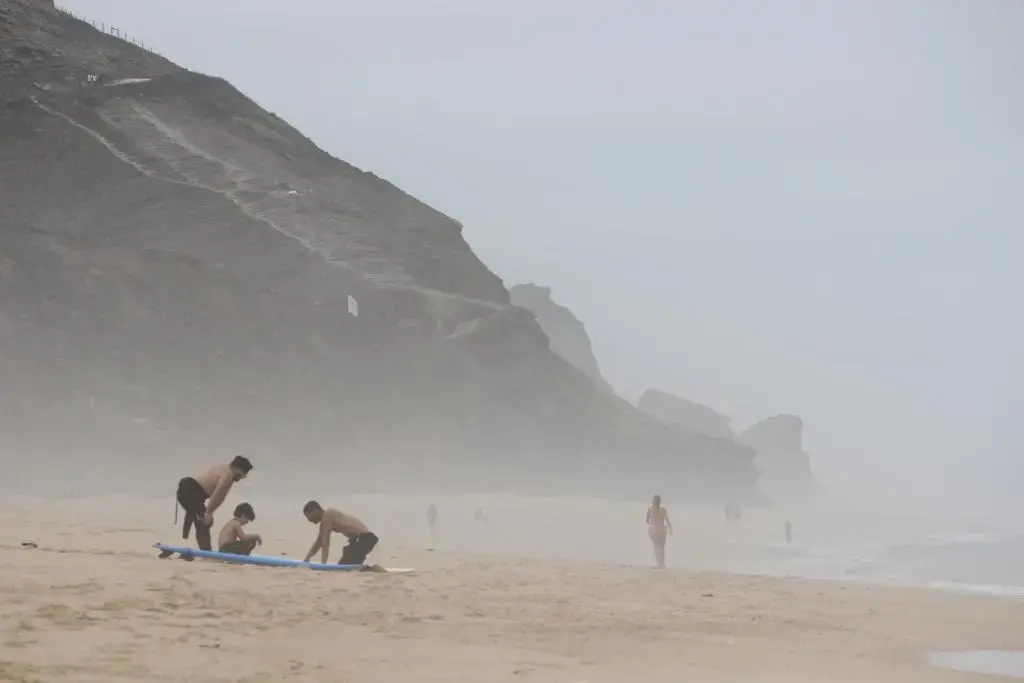 We Surf House