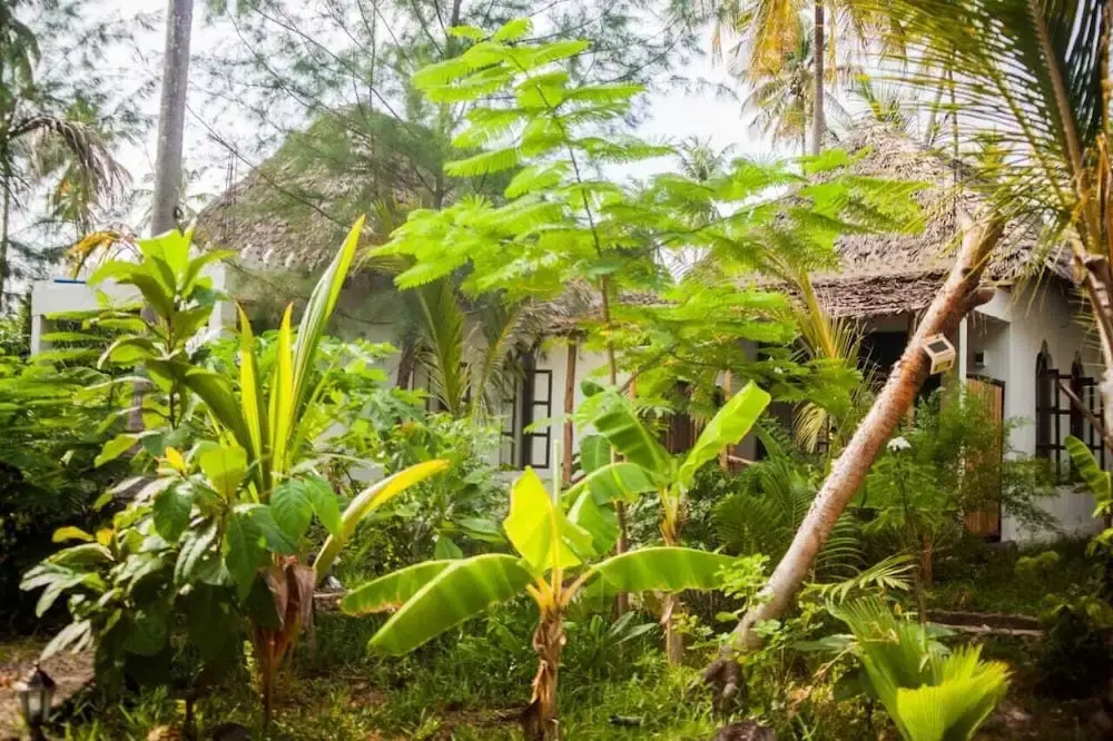 Dreamland Bungalows Michamvi Kae