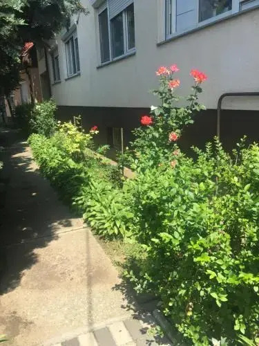 Rózsakert Panzió