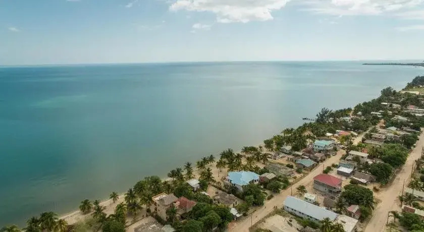 Buttonwood Belize