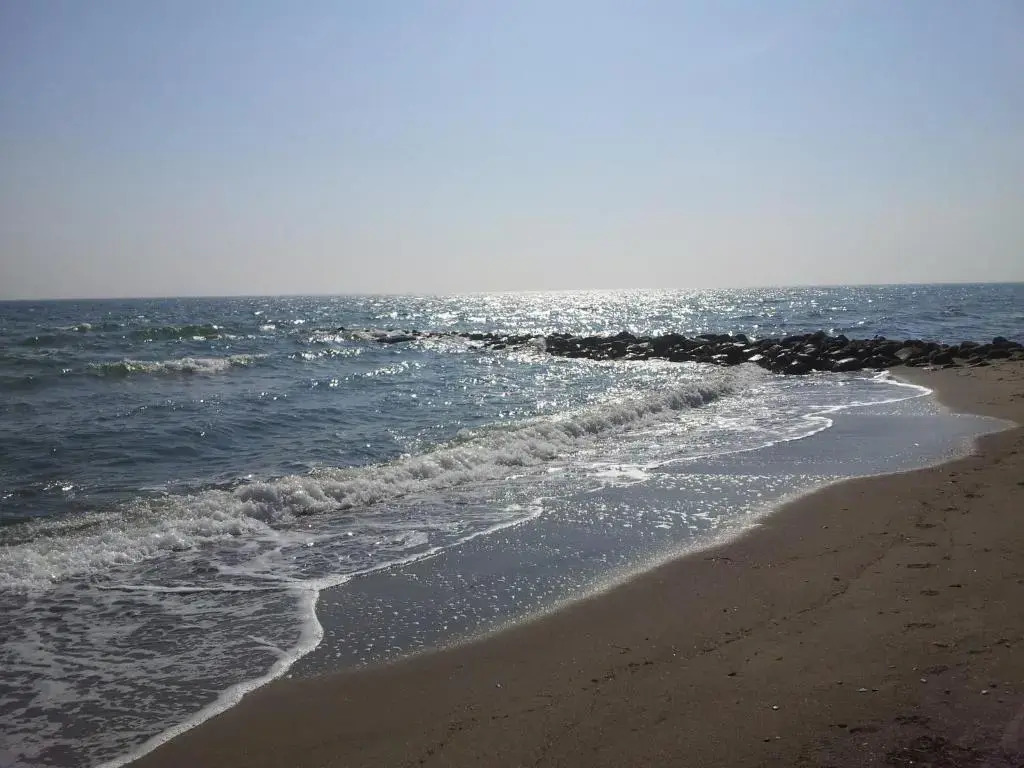 Carpe Diem Dahme
