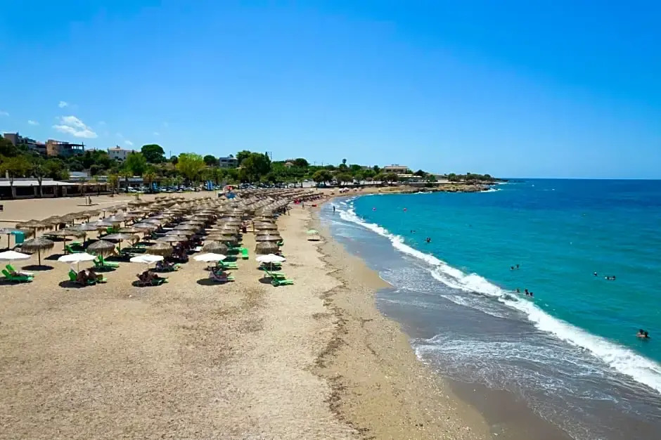 Elegant Beach Hotel