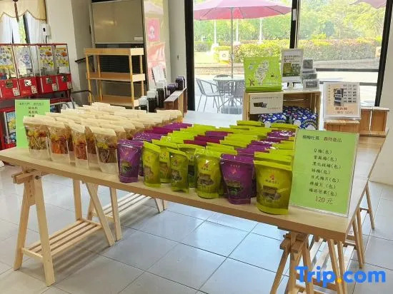 Tsengwen Youth Activity Center