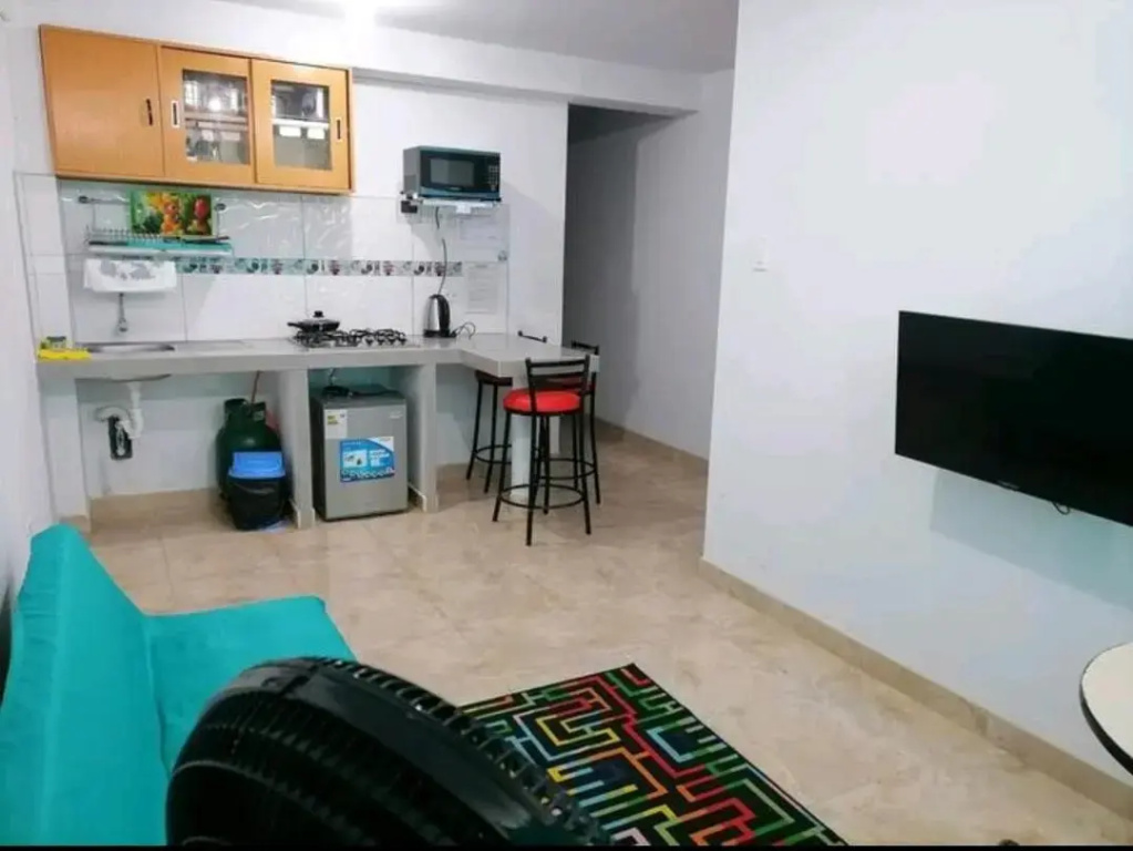 Departamento-Bolognesi B1