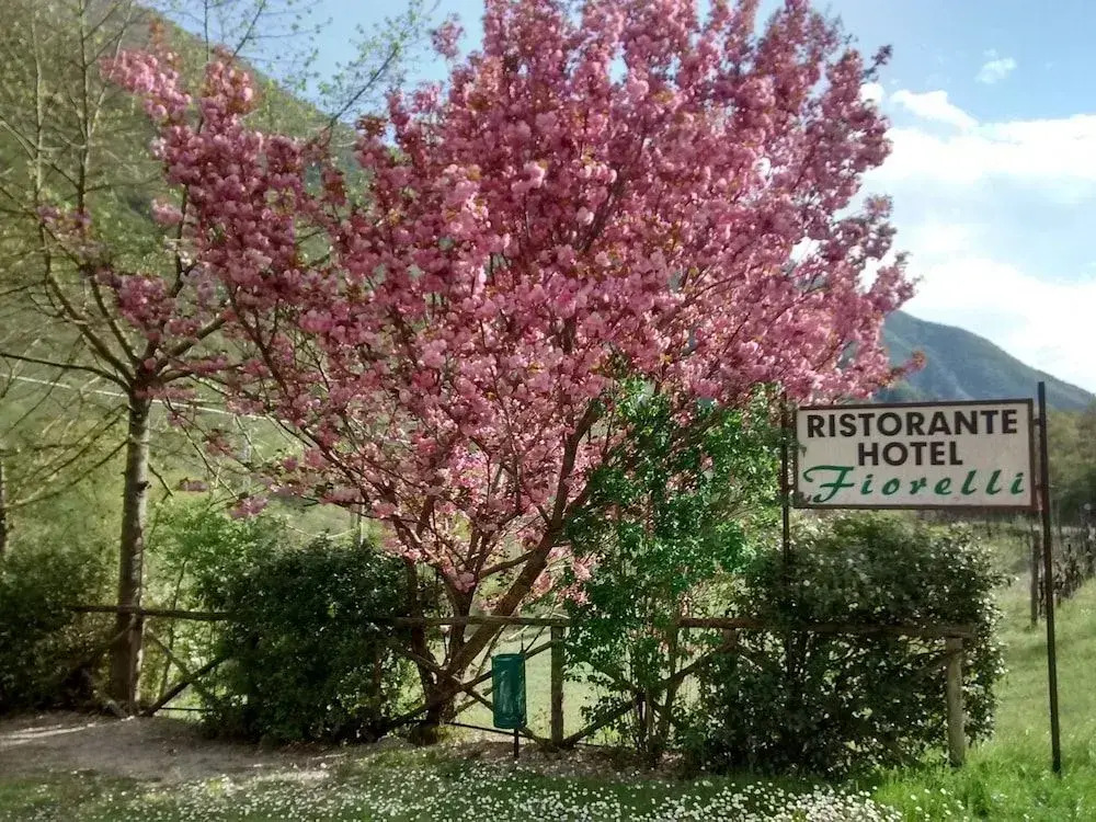 Affittacamere Ristorante Fiorelli