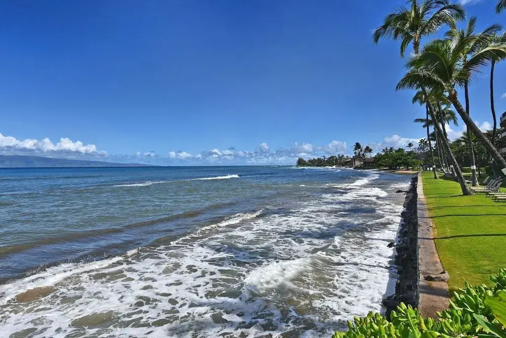 Maui Sands Seaside 718 - 1 Br Condo
