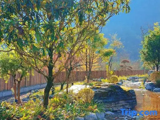 WuYun Designer Boutique Hotel Closest to Tianmen & Fox Fairy Show