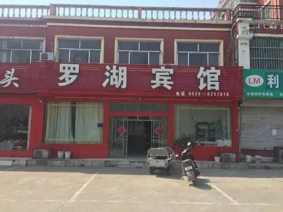 Linyi Luohu Hotel