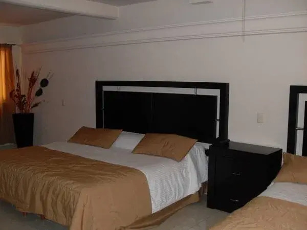 Hotel Grand Regency Express Minatitlan