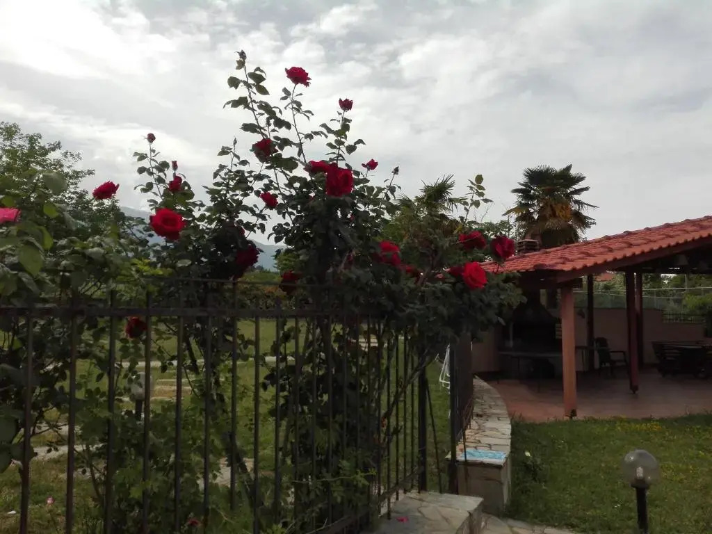 Villa Anna