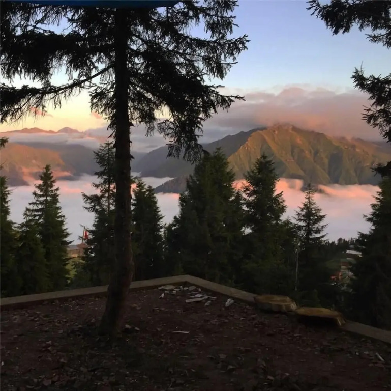 Pokut Orion