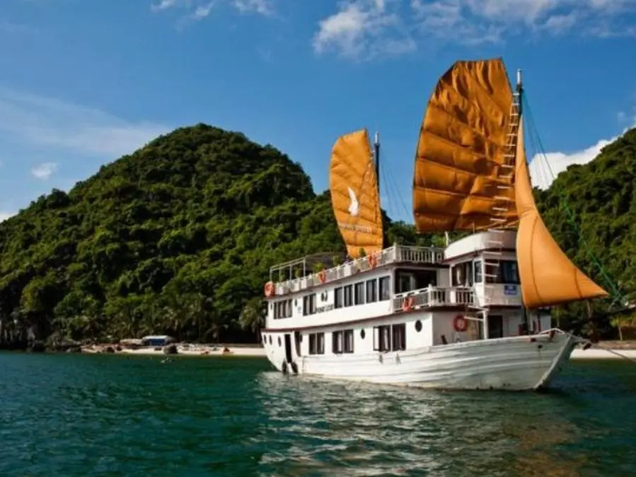 Phoenix Luxury Cruise