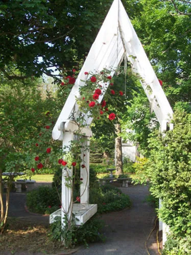 Cambridge House Bed & Breakfast
