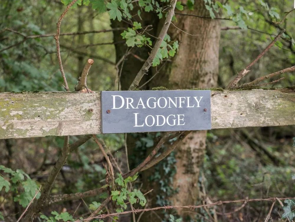 Dragonfly Lodge