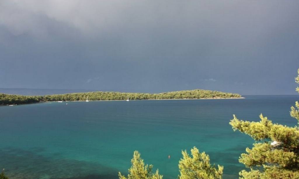 Studio apartment Niko - with pool : A5 Jelsa, Island Hvar