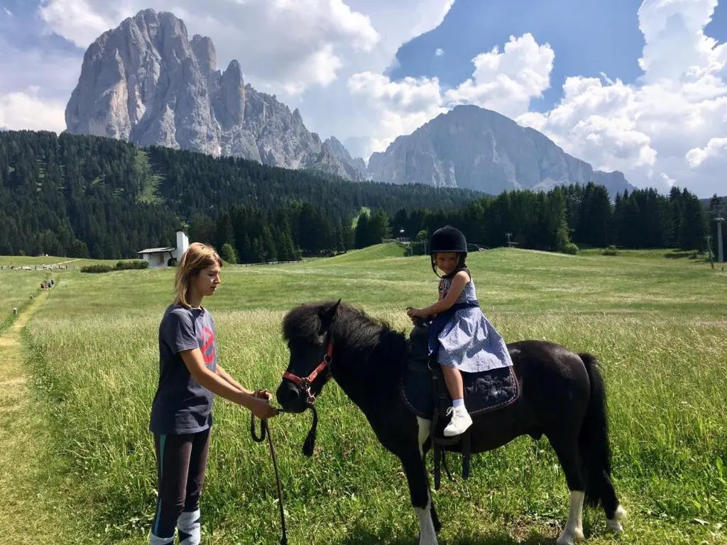 Monte Pana Dolomites Hotel