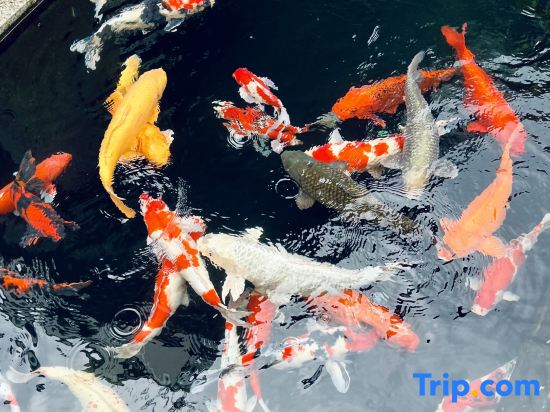 Yingde Tangyuan Private Luxury Courtyard