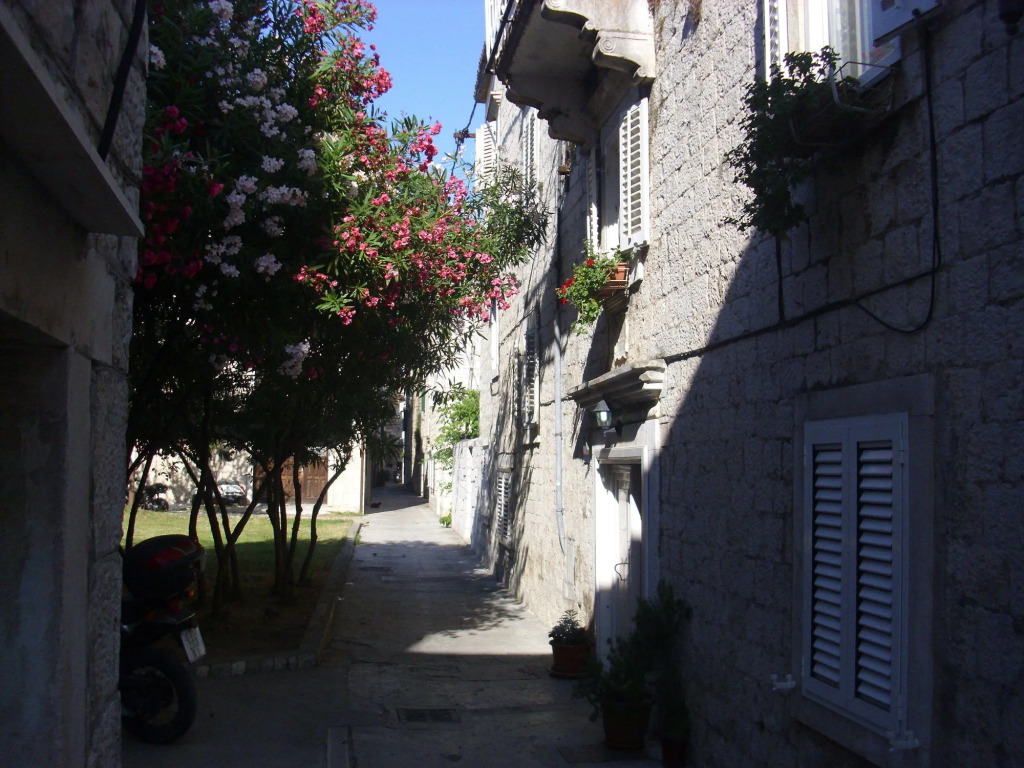 Carol Rooms