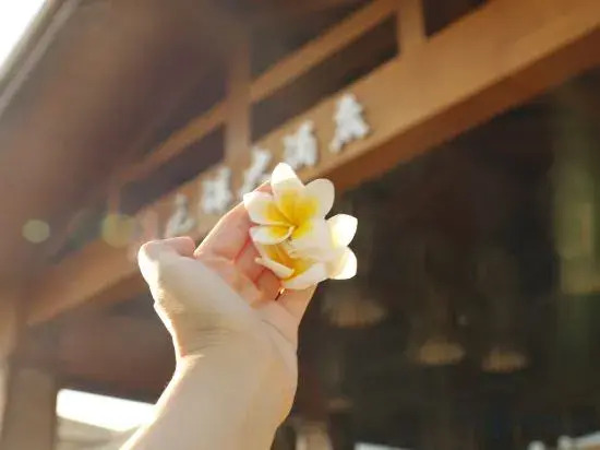 Yuanmou Grand Hotel