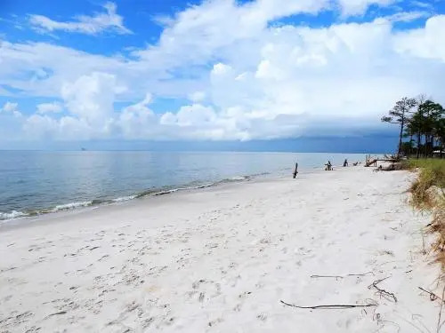 082 Dauphin on the Gulf