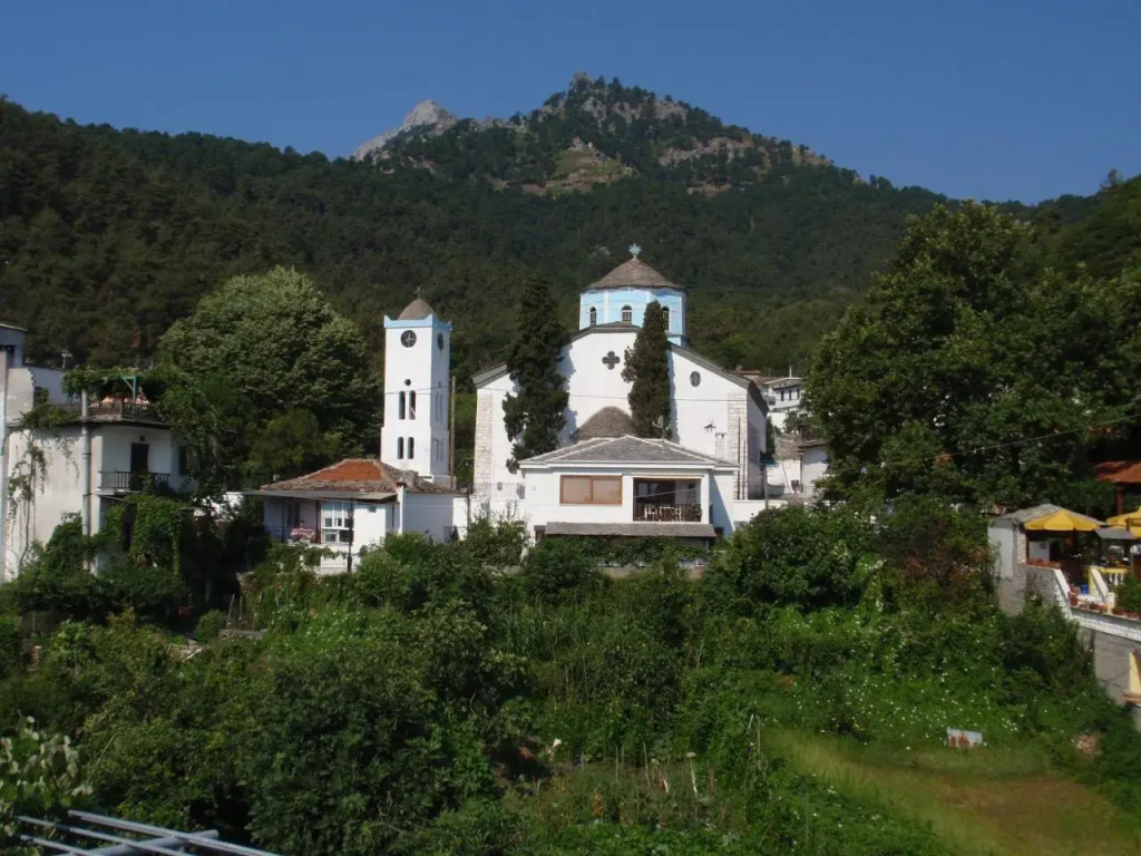 Hotel Theo