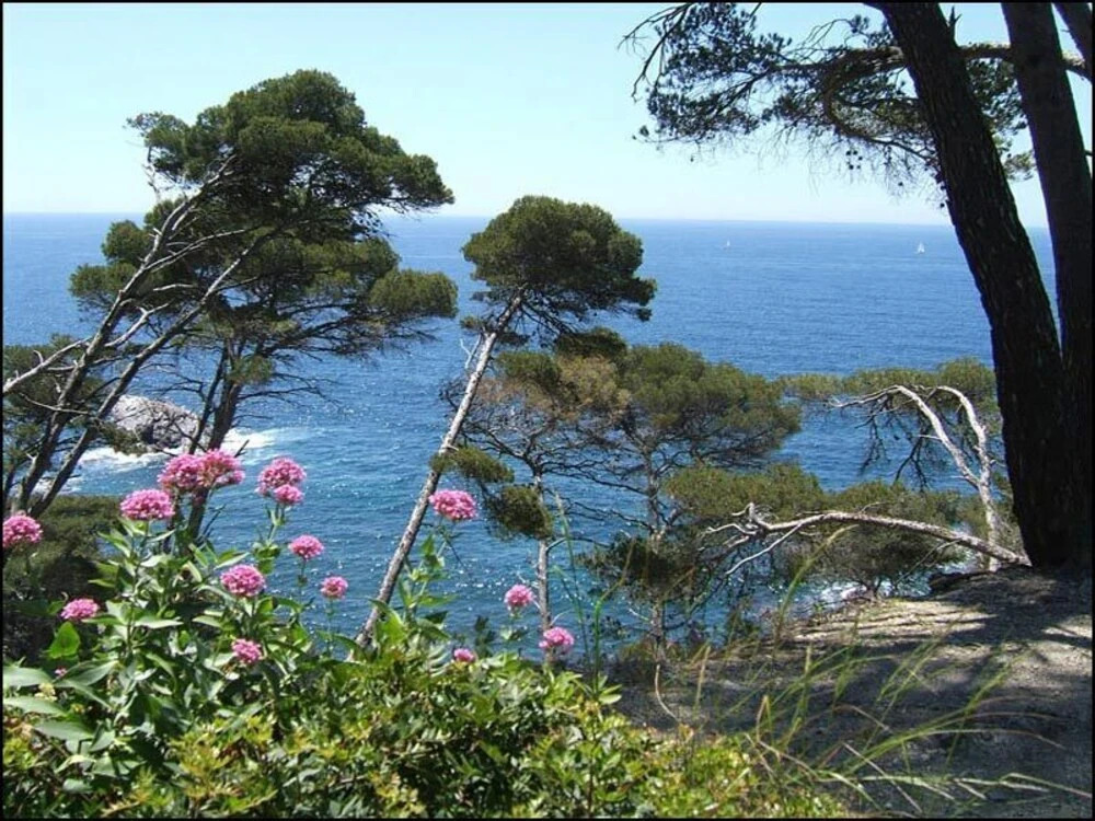 Au jardin de la ferme