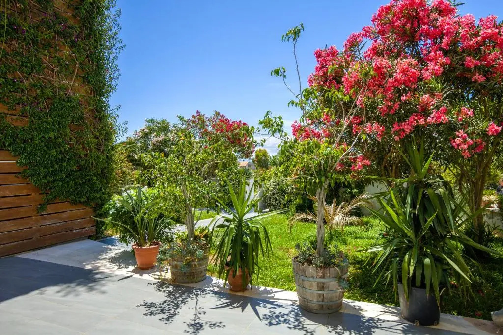 Villa Marconi Apartment 4