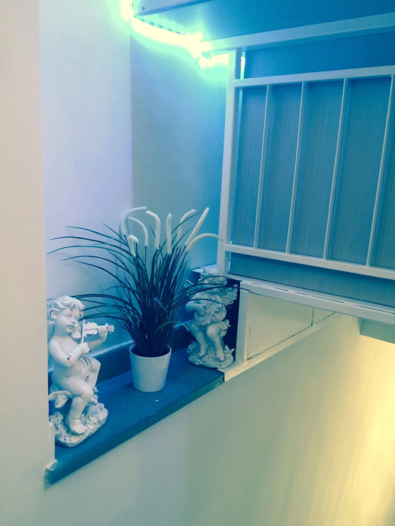 Casa Boss Oblivium