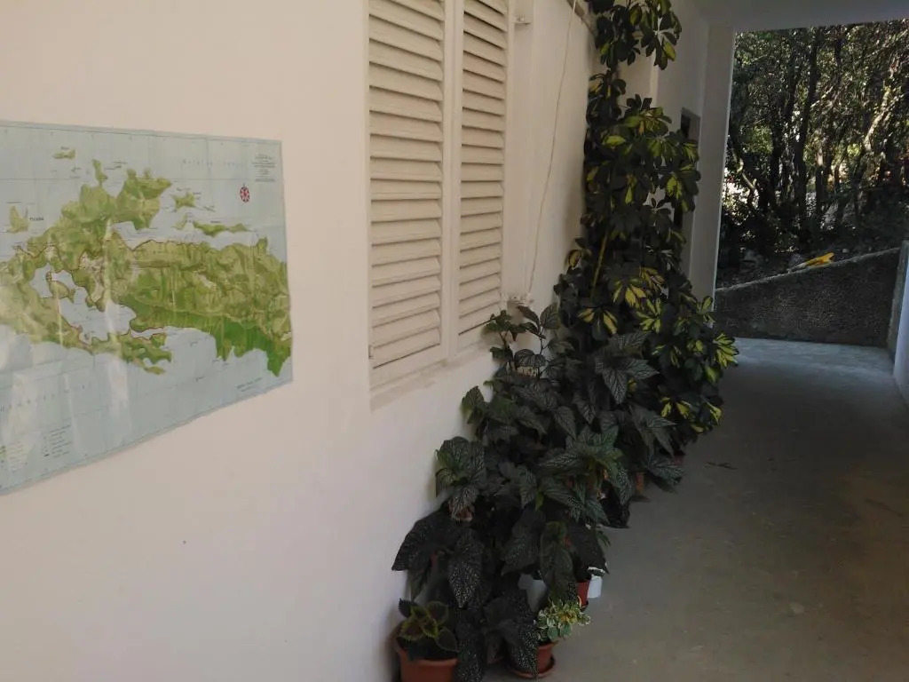 Guest House Radulj