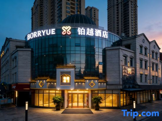 Borryue Hotel (Wuhan Houhu Avenue)