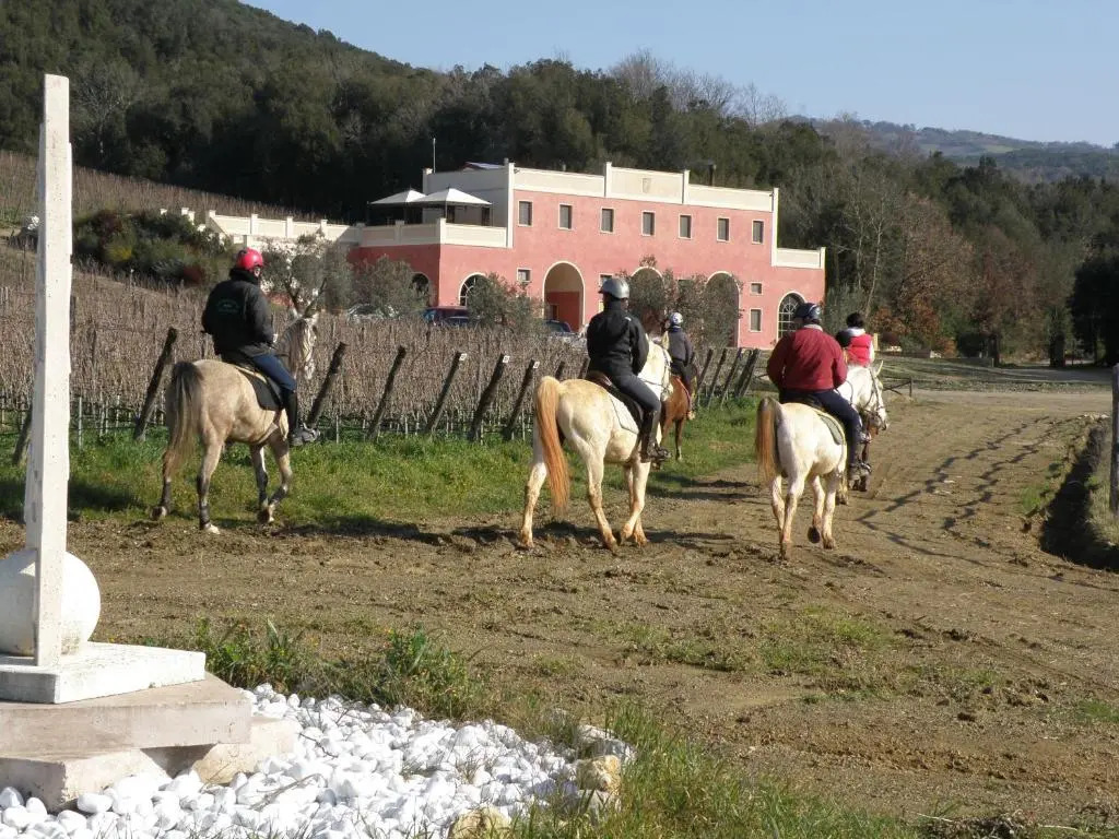Tenuta il Sassone - Wine&Food