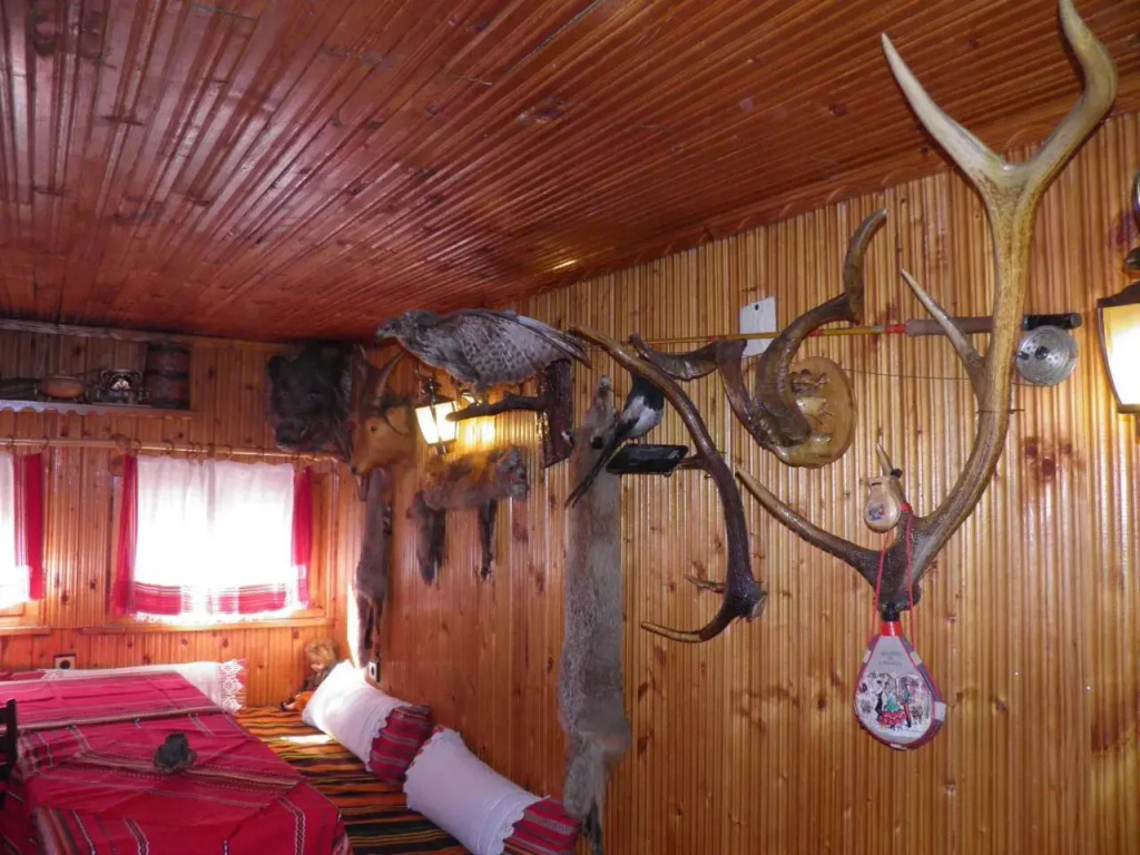 Guest House Detelina