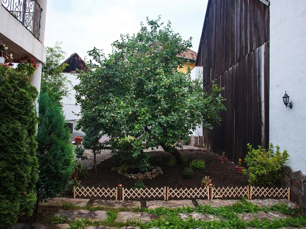 Villa Cristiani