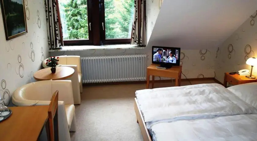 Wittes Hotel