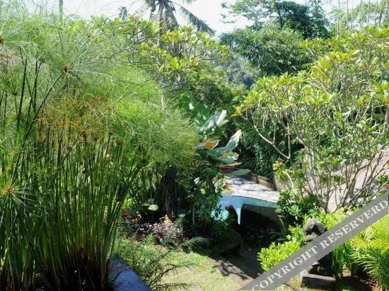 Villa Constance