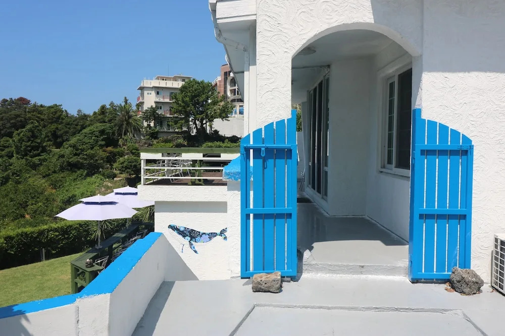 White Whale Guesthouse - Hostel