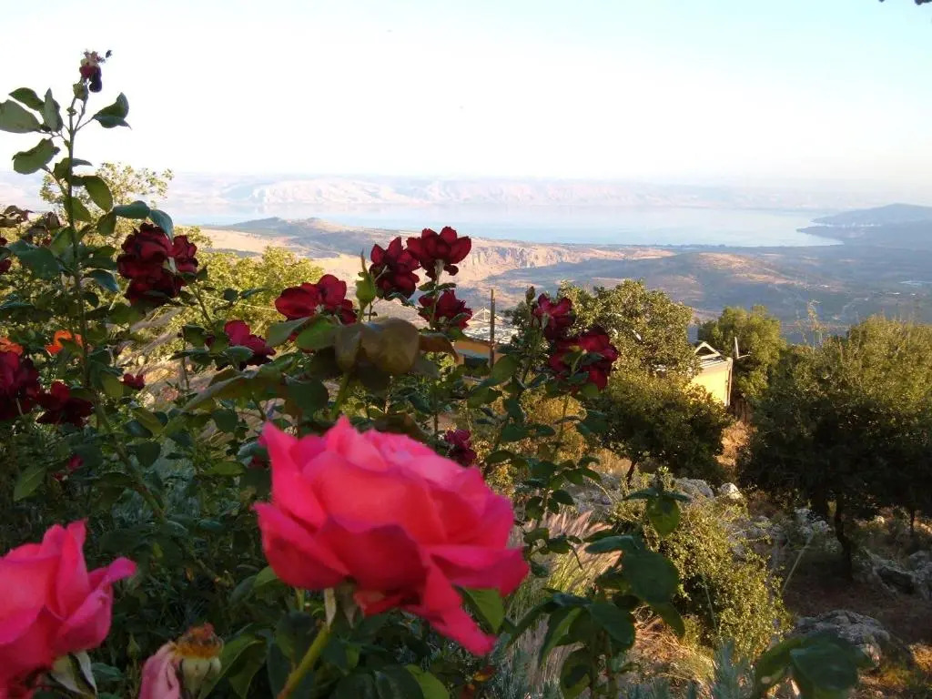 Rose Garden - Gan Vradim