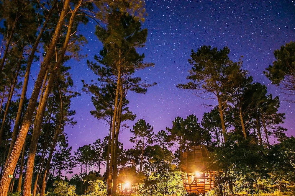 Cap'Cabane