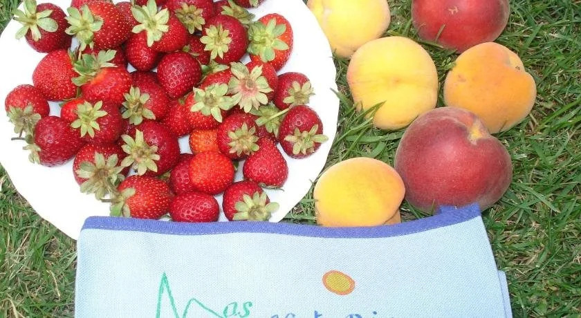 Mas Horta Prim