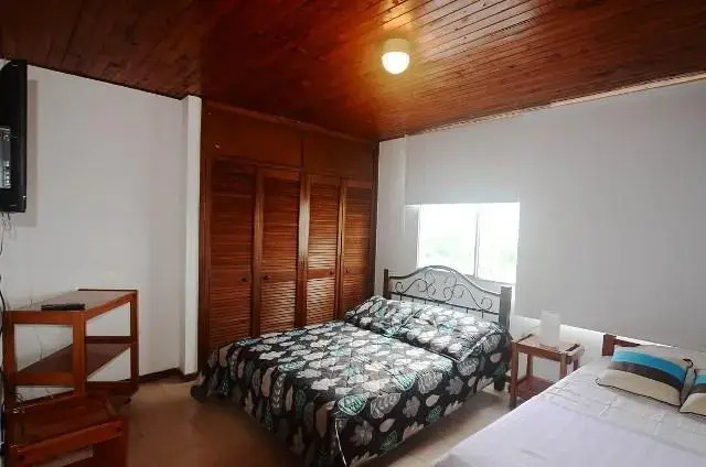 Hipocampo 704