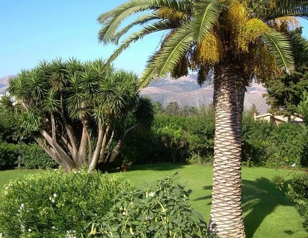 Villa Lucia
