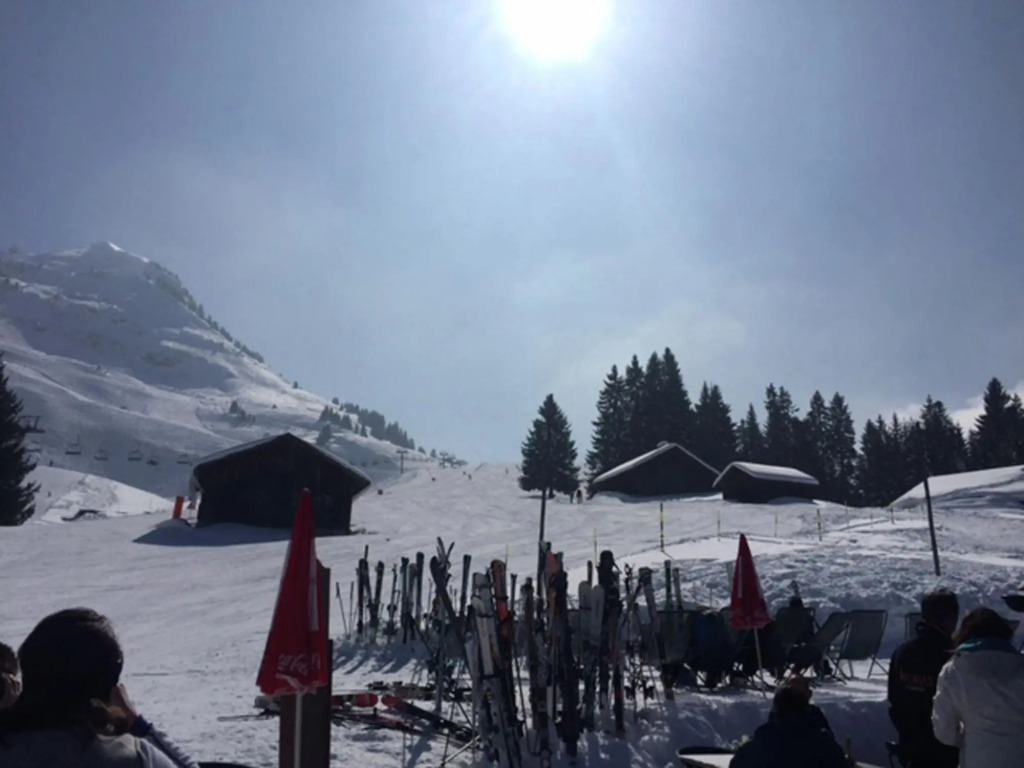 Chalet in Les Gets Near Ski Bus & Sauna
